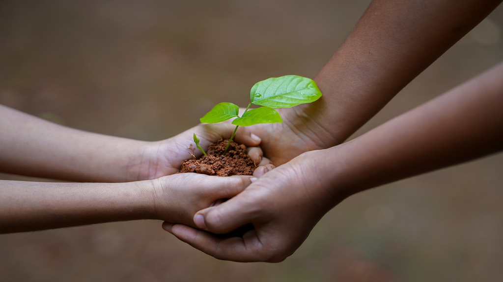 Service To Humanity Australian Muslims